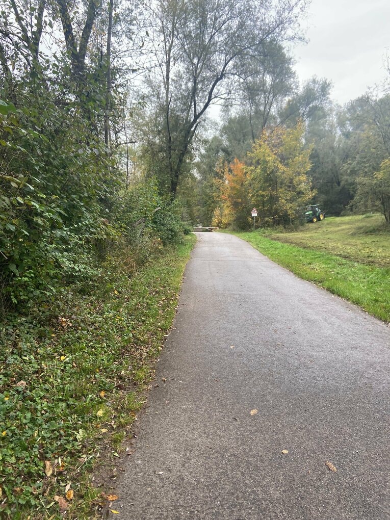 バスの停留所からアカデミーに向かう道（筆者撮影）