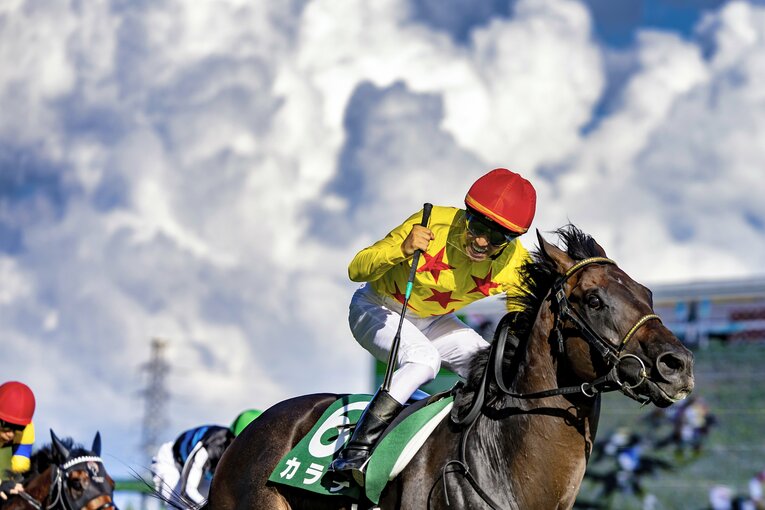新潟記念を制したカラテ、鞍上は菅原明良 ／ photograph by photostud