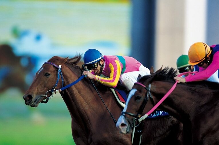 2000年有馬記念、テイエムオペラオーはハナ差でメイショウドトウをかわして中央平地重賞８連勝 ／ photograph by Hideharu Suga