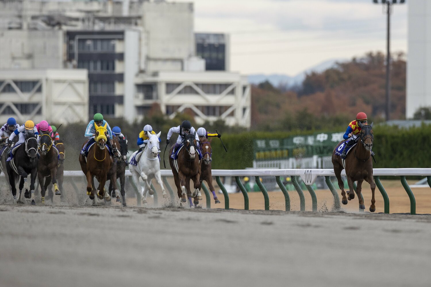 昨年のチャンピオンズカップは完勝　©Photostud