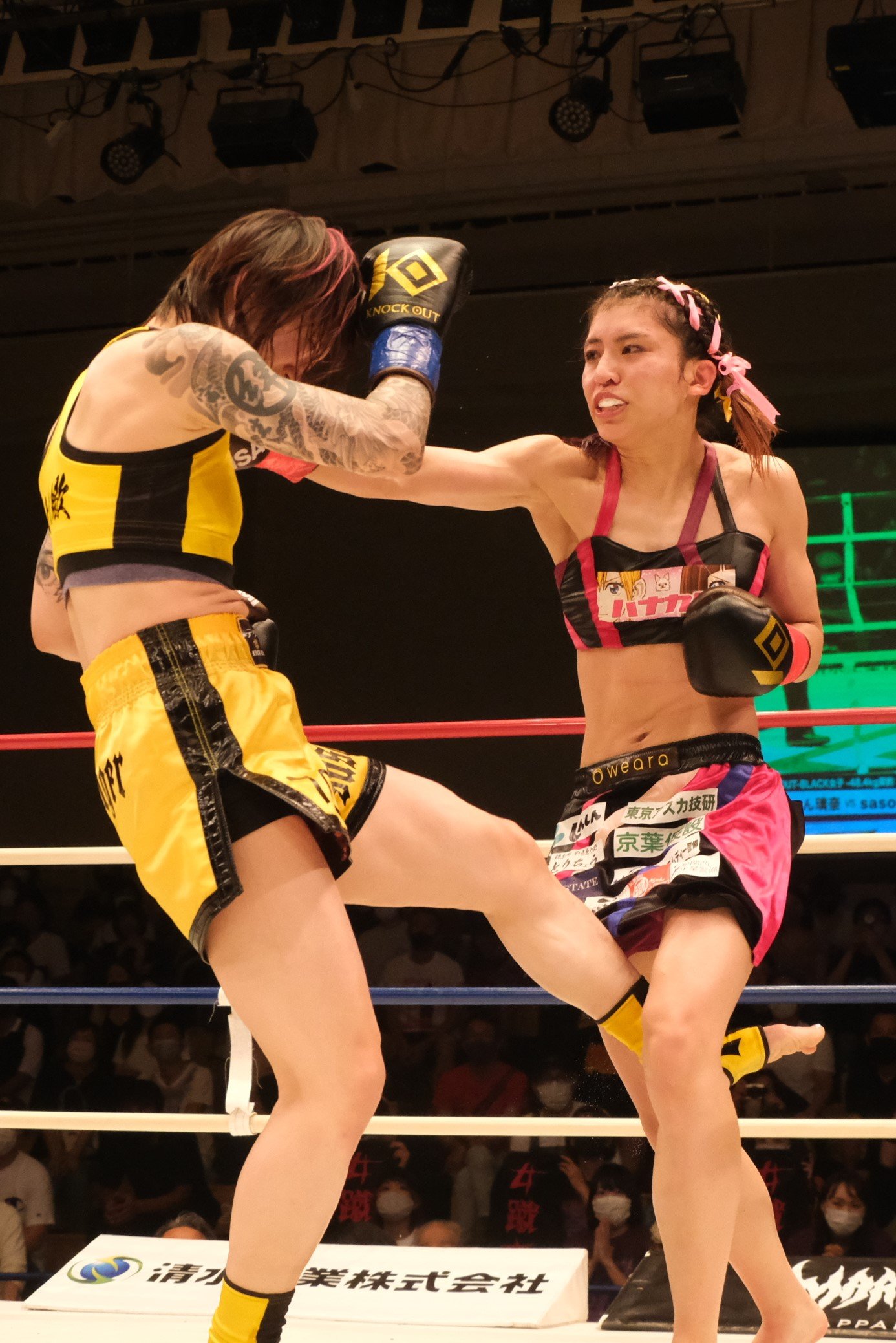 sasori戦でぱんちゃんが見せた力強いパンチ　©Norihiro Hashimoto