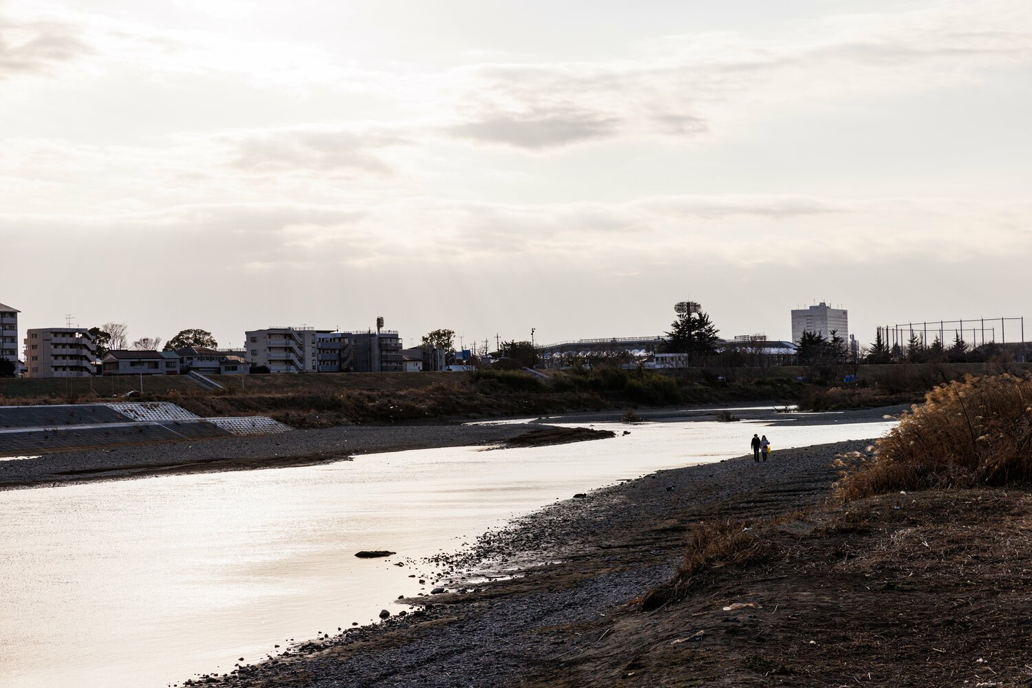 10分くらい歩くとすぐに多摩川の河川敷に降りられるところがあった。奥に川崎フロンターレの本拠地・等々力競技場の屋根が見える