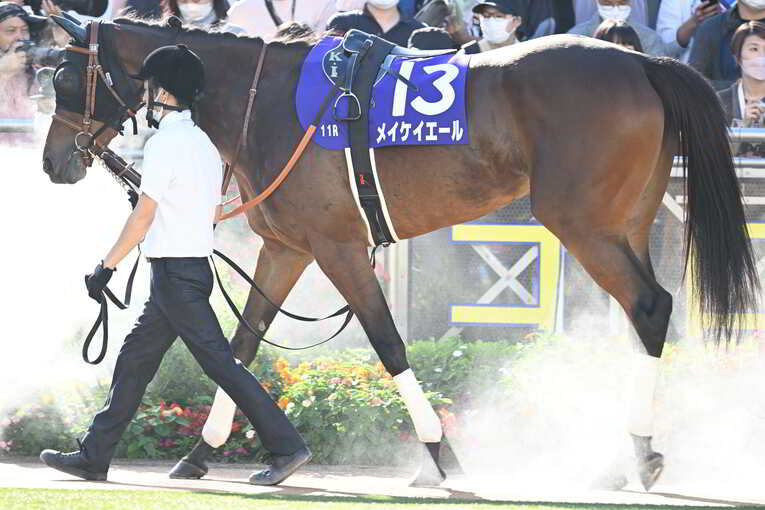 1番人気メイケイエールはなぜ不発に終わった？ 波乱のスプリンターズS、「すべての展開が味方した」ジャンダルムが生んだ“血のドラマ”(21)
