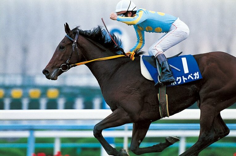 1993年にデビューし、エリザベス女王杯を制したホクトベガ。97年ドバイワールドカップで左前脚を骨折し安楽死 ／ photograph by Keiji Ishikawa