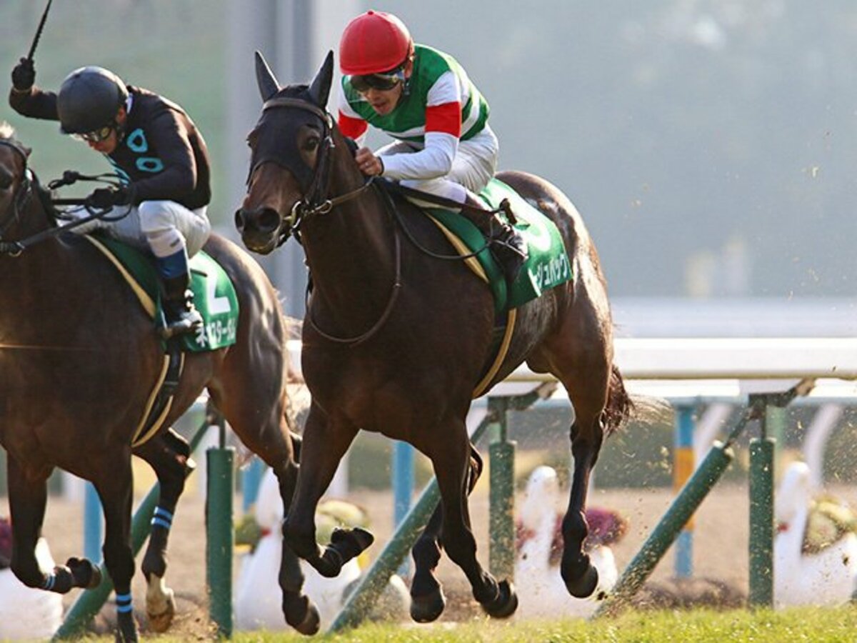 ルージュ一強か 三強か それとも 15年桜花賞はハイレベルな一戦に 2 3 競馬 Number Web ナンバー