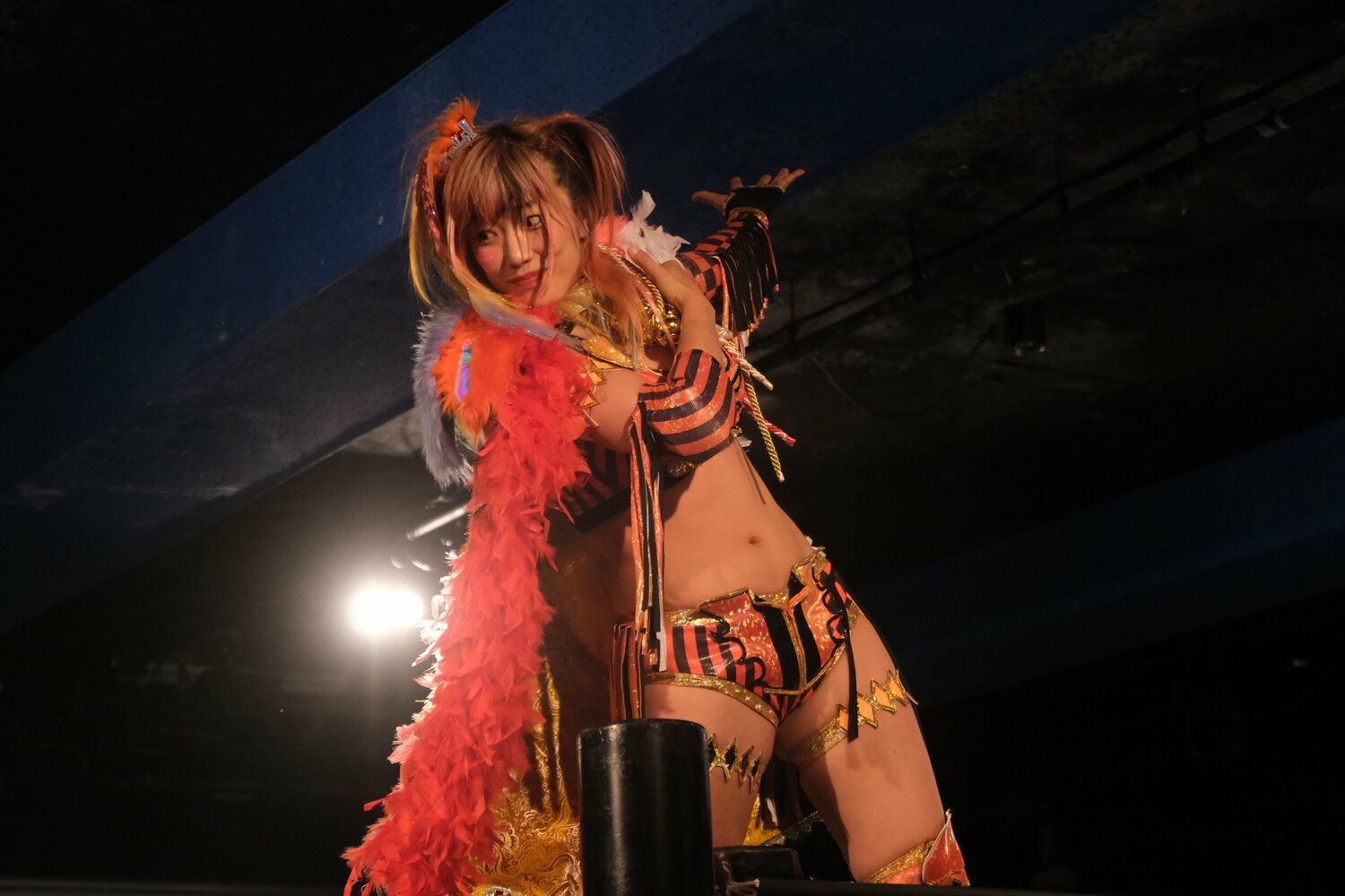 8月から毎月連続自主興行を開催するウナギ・サヤカ