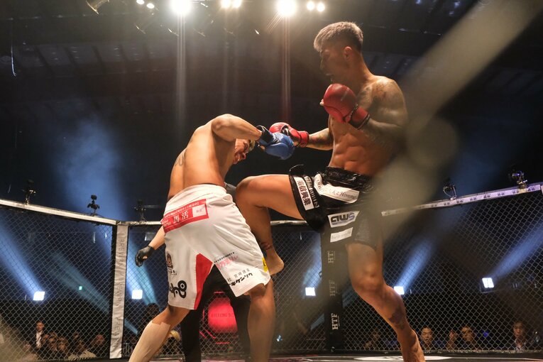 ©Norihiro Hashimoto