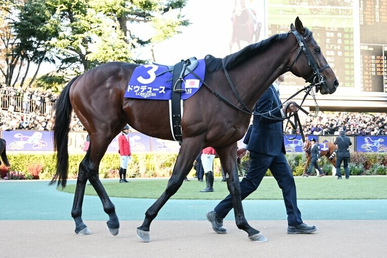 パドックでのドウデュース。11月24日、東京競馬場　©Keiji Ishikawa