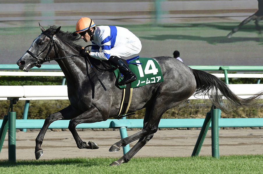 エリザベス女王杯はノームコア!騎手、牧場、厩舎の全てが追い風。<Number Web> photograph by NIKKAN SPORTS