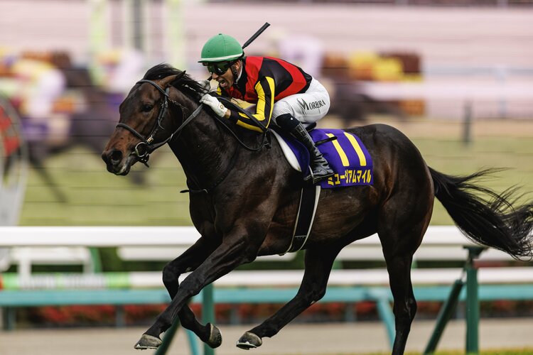 クロワデュノール 新馬戦 的中馬券(期限切れ) 皐月賞】クロワデュ