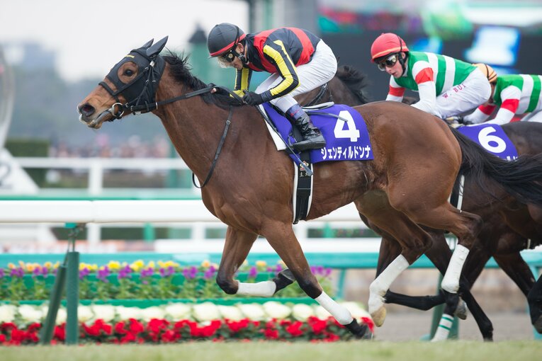 5位：ジェンティルドンナ　17億2603万400円　©Getty Images