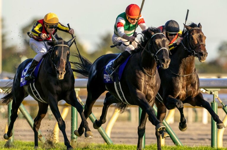 11月27日、GIジャパンカップを制したヴェラアズールとライアン・ムーア ／ photograph by Photostud