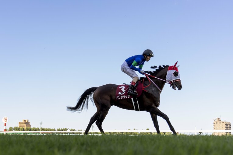 札幌記念、パンサラッサ ／ photograph by photostud