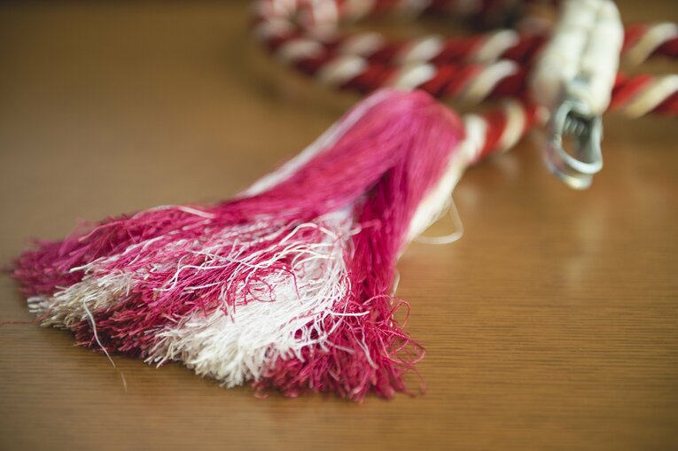 馬装用の練習台にしていたというレイの一部　©Wataru Sato