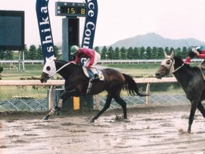 29連勝！ 伝説の名馬を生んだのに13年連続赤字で…“18年前に消えた競馬場”、栃木県で愛された「足利競馬場」今は何がある？