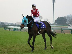 武豊「思い出に残る有馬記念です」オジュウチョウサンが見せた奮闘。