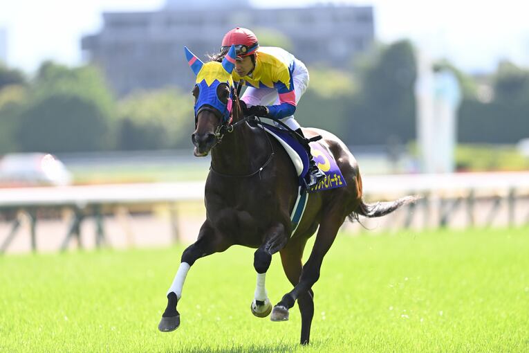 オークス直前に顔面を蹴られて放馬…発走“15分の大遅延”はなぜ起きたのか？「多くの馬の戦いは、スタート前に終わってしまった」(11)