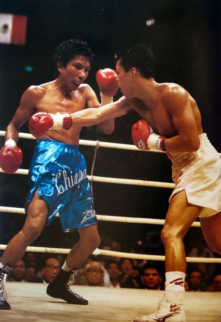 1992年9月、ビクトル・ラバナレスに壮絶なTKO負けを喫したが、翌1993年7月にリベンジを果たした