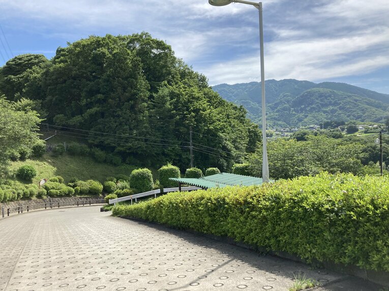 硬式野球部寮から望む　©Number Web