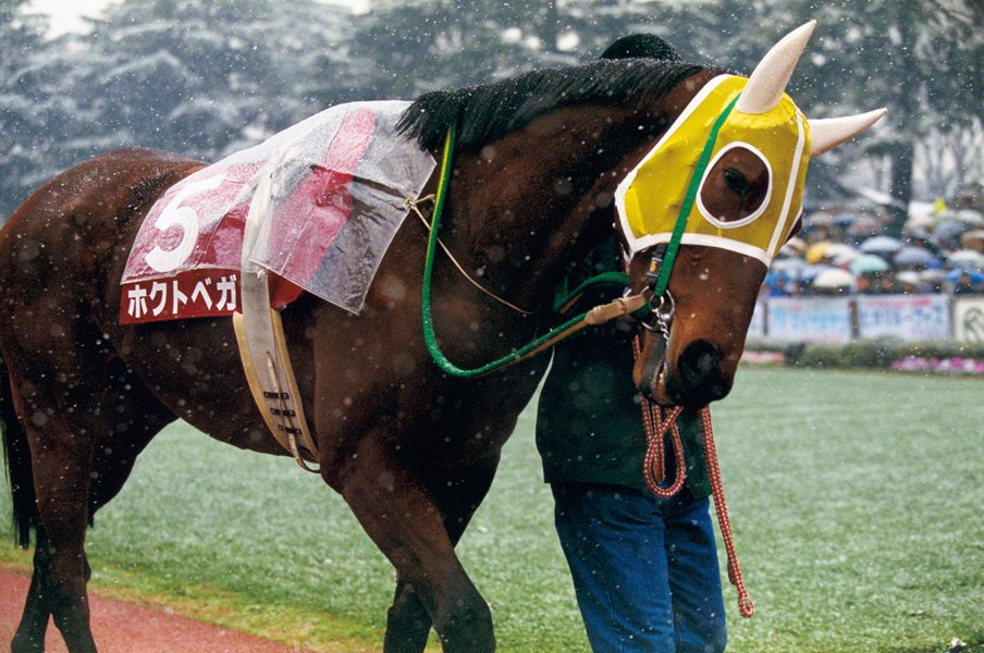 芝＆ダート二刀流列伝］境界線を越えた異能者たち ホクトベガ