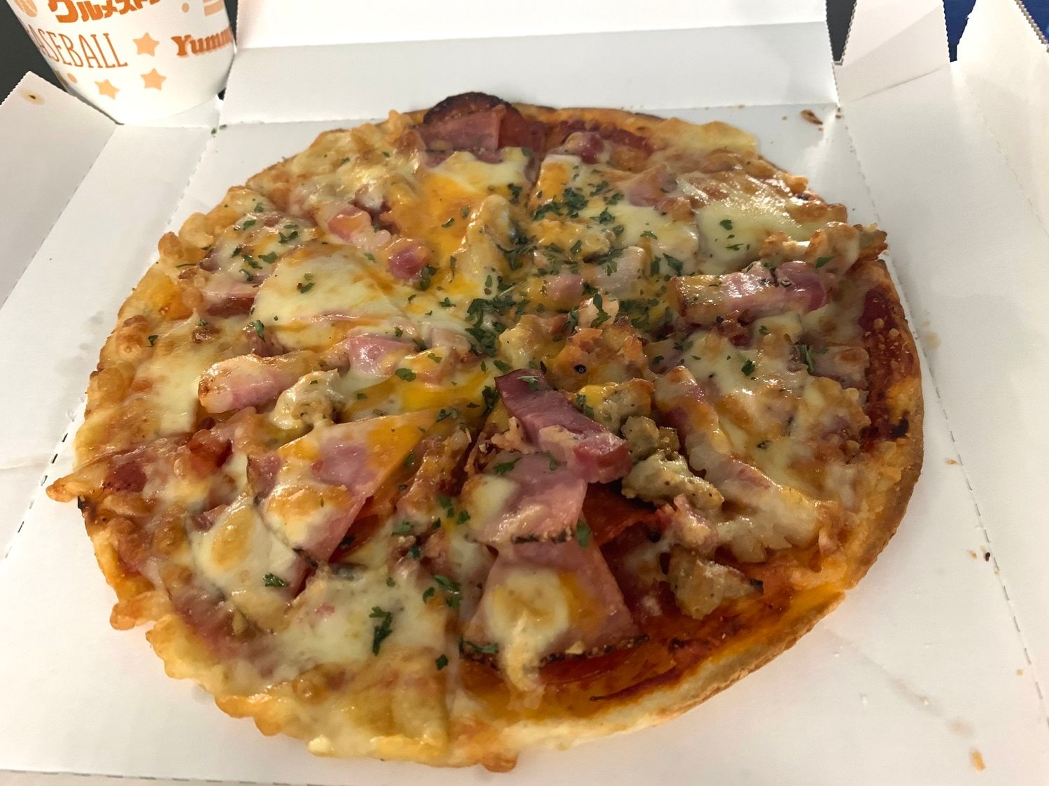 オーダーした『丸佳浩のジャストミートピザ』