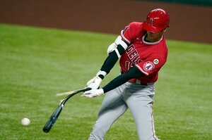 “大谷翔平とイチローの使用バット”保有のコレクターが知る入手方法って？ 元祖二刀流・ルース“伝説の1本”は今や1億円超！