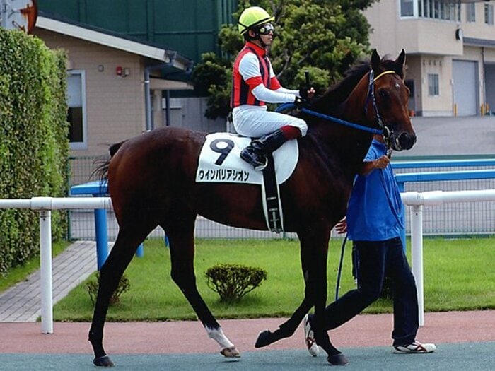 2歳、3歳の層の厚さで俄然楽しみな'11年競馬。～年末まで続く2歳戦の熱～＜Number Web＞ photograph by JRA