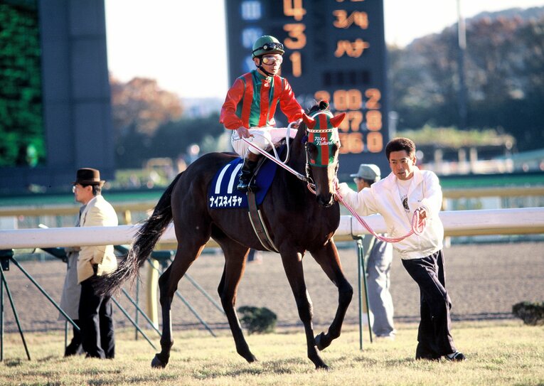 ナイスネイチャ ／ photograph by Tomohiko Hayashi