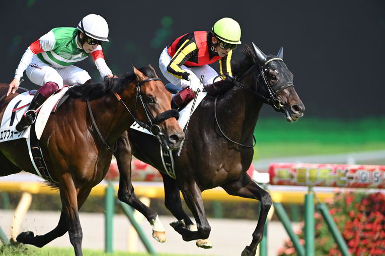 日本ダービー、最終直線の追い比べ　©Keiji Ishikawa