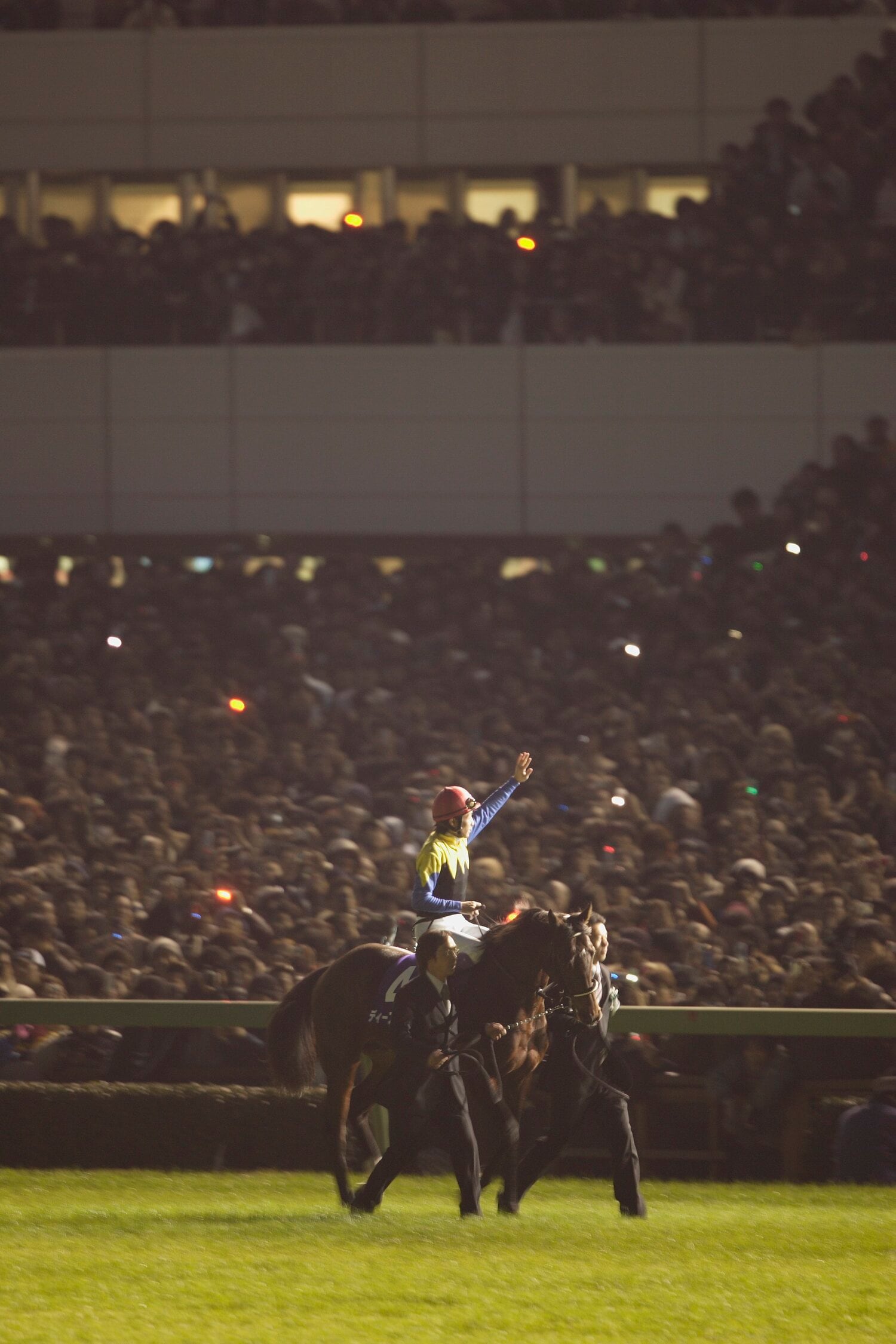 2006年の有馬記念を最後にターフを去ったディープインパクト ©Takuya Sugiyama