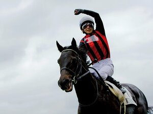 <徹底追跡>その後の王者たち――エイシンフラッシュ「復活の天覧競馬」。