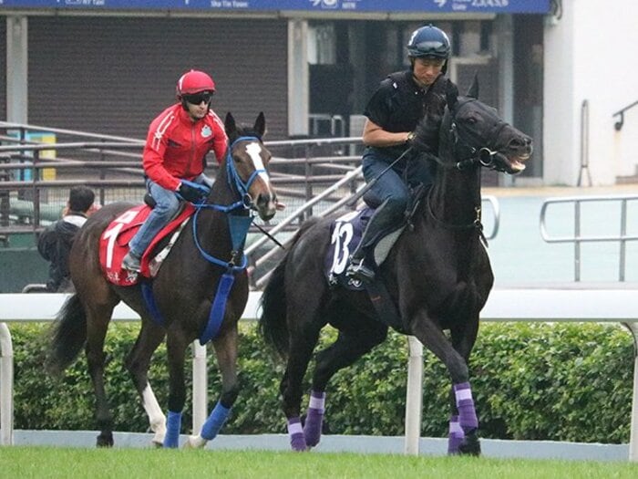 香港カップの総賞金は約4億円!ディアドラら日本馬もチャンス。<Number Web> photograph by Satoshi Hiramatsu