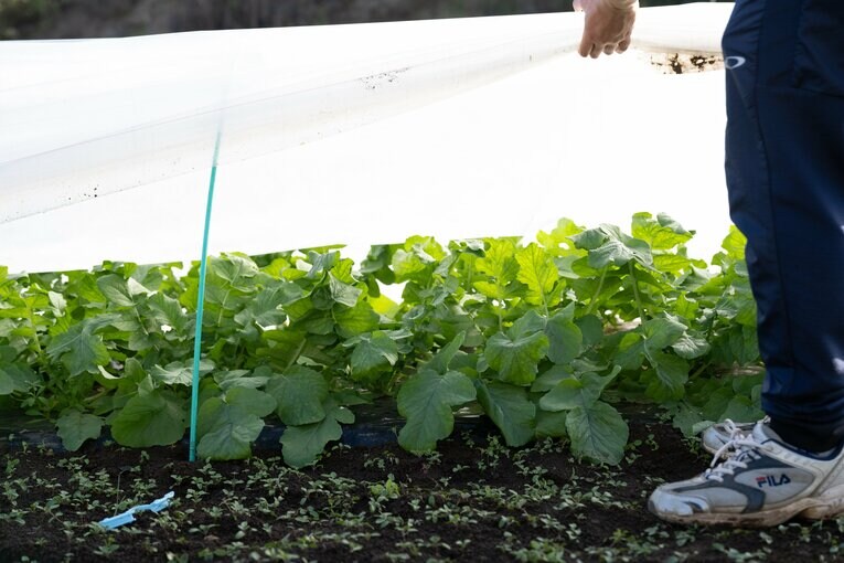 予選会でも出荷した実績あり　©Nanae Suzuki