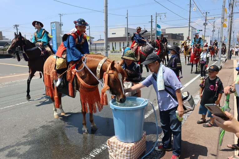 宵乗り行列の道中で水分補給をする馬たち