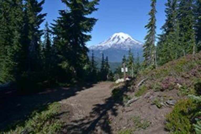 コーヒー飲料でも有名なマウントレーニアが視界に。 