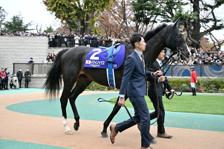 11月26日、ジャパンカップ。パドックでのイクイノックス　©Keiji Ishikawa