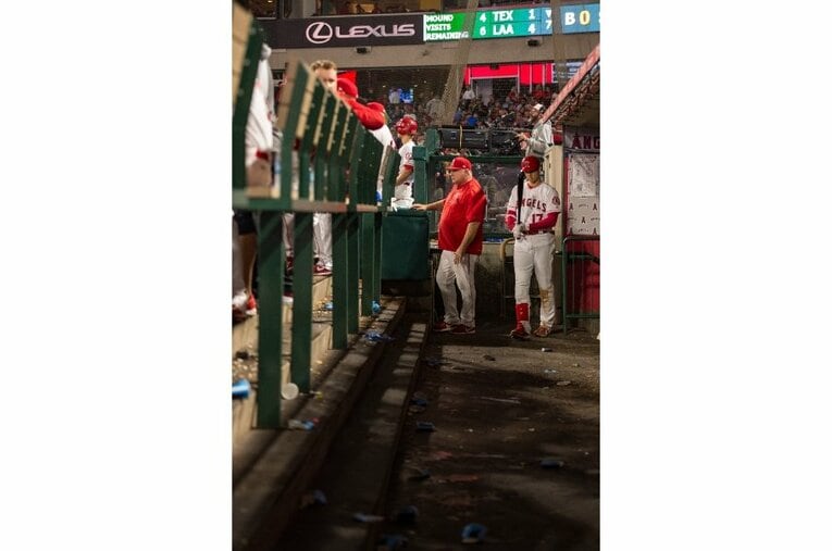 2018年©Nanae Suzuki