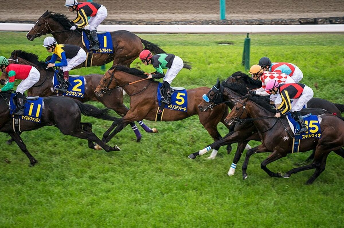 img_c3b63f968cdb708c07caf23769