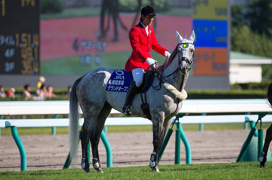 馬だって「転職」は簡単じゃない。競馬→誘導馬→馬術という成功組。＜Number Web＞ photograph by nabecci/Ryosuke KAJI