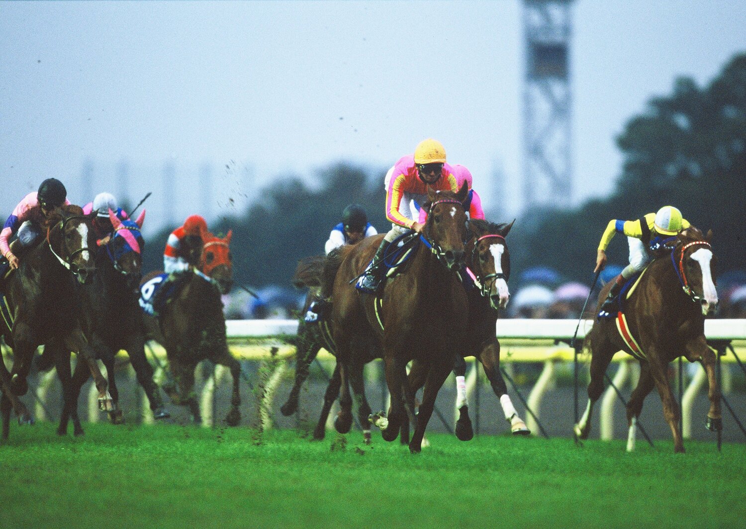 「1番人気は勝てない」と言われていた当時の天皇賞・秋。テイエムオペラオーはそんなジンクスも打ち破った　©Tomohiko Hayashi