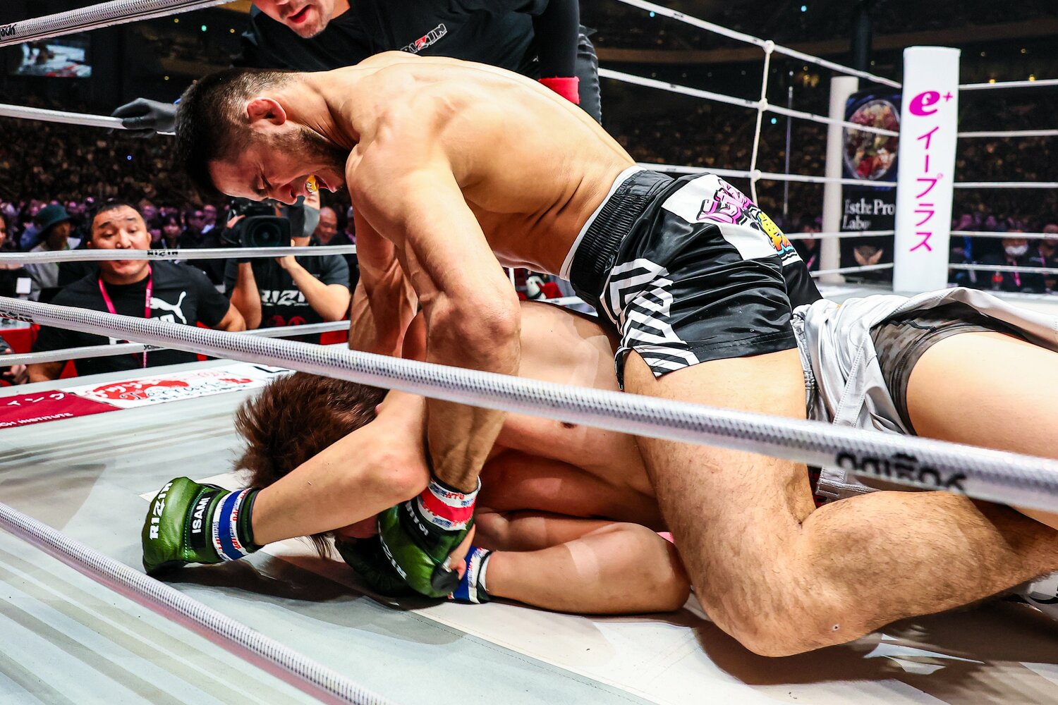 さらに顔面にパウンドを叩き込むシェイドゥラエフ。試合後、朝倉未来は眼窩底骨折と診断された　©Susumu Nagao