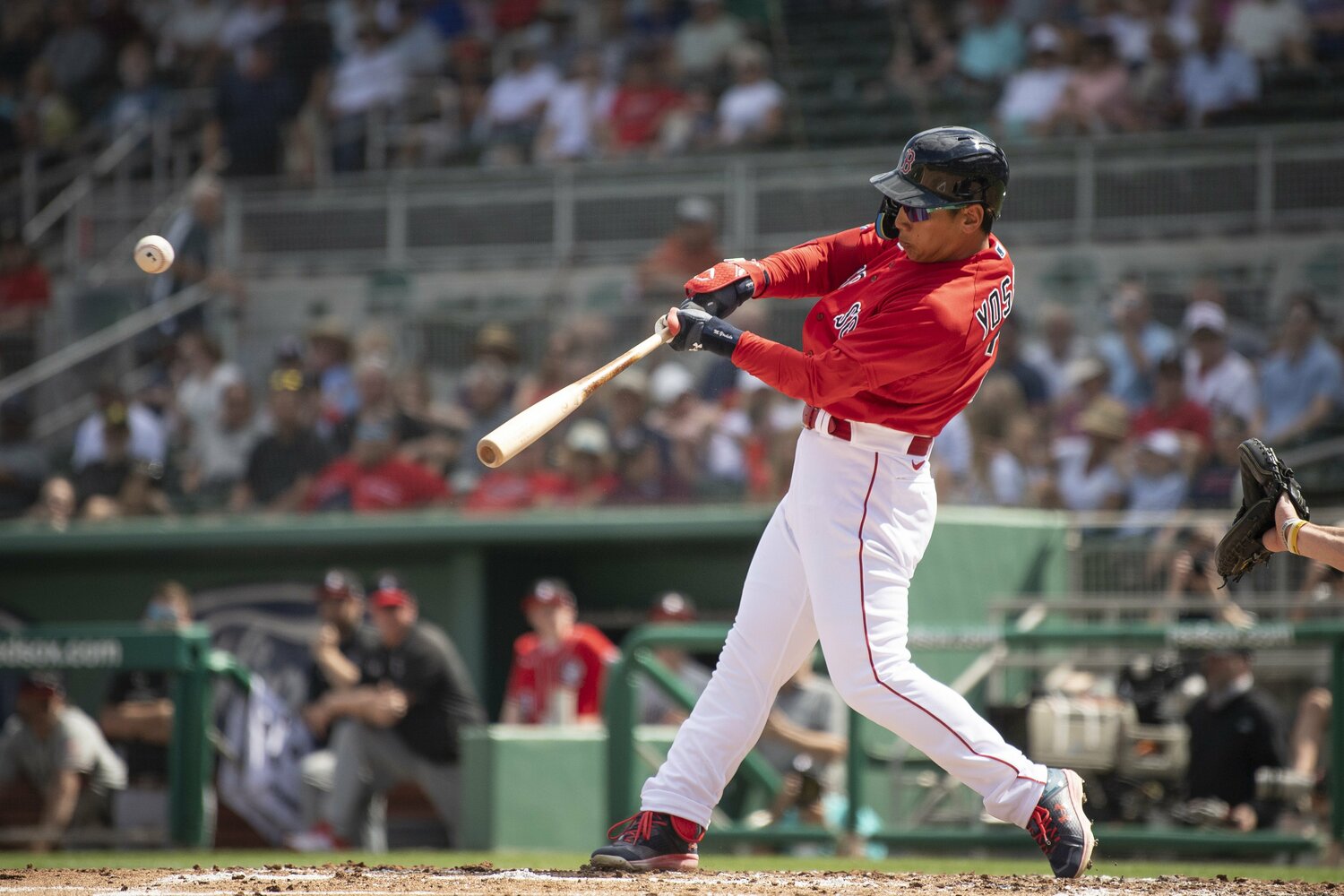 吉田正尚　©Getty Images