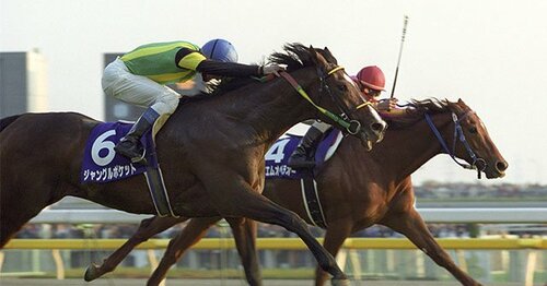 マンハッタンカフェを徹底解剖 - Number Web - ナンバー