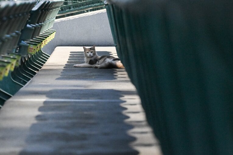 特等席を確保　©Nanae Suzuki