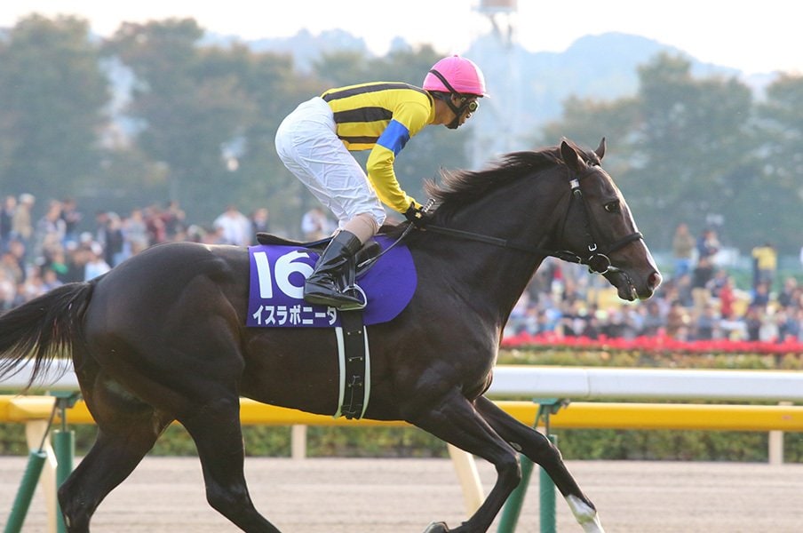 GIウイナー9頭が揃う豪華マイルCS。実績と近走の勢いを備えた馬は――?<Number Web> photograph by Yuji Takahashi