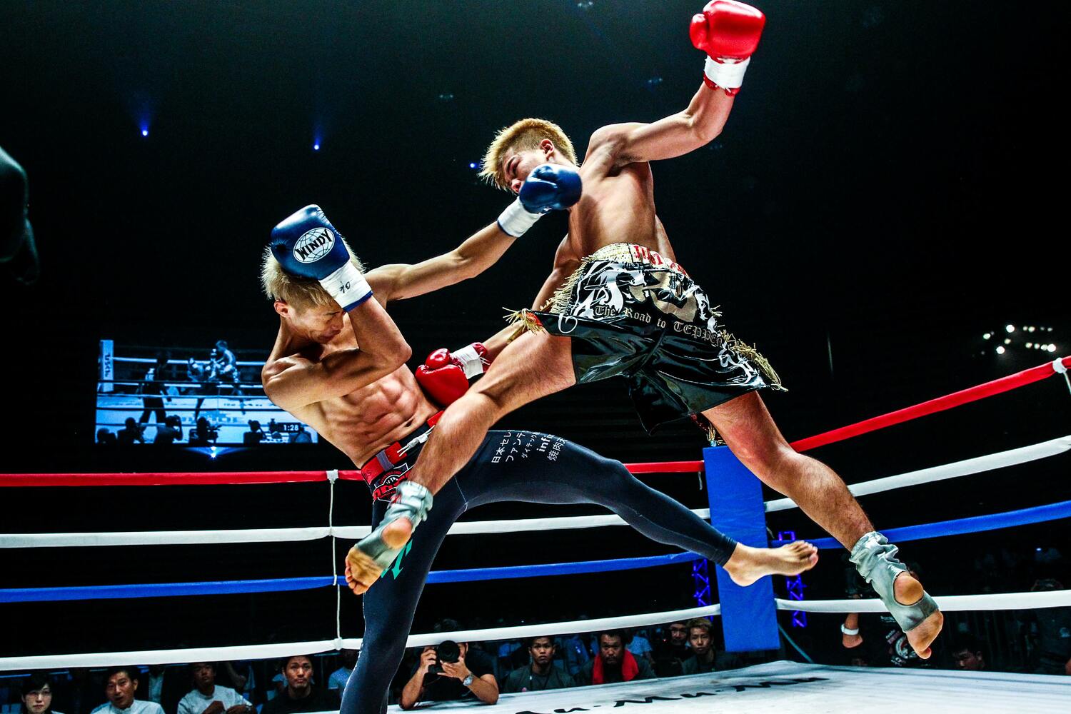 2015年8月1日、『BLADE FC JAPAN CUP』トーナメント決勝で内藤大樹にKO勝ち　©Susumu Nagao