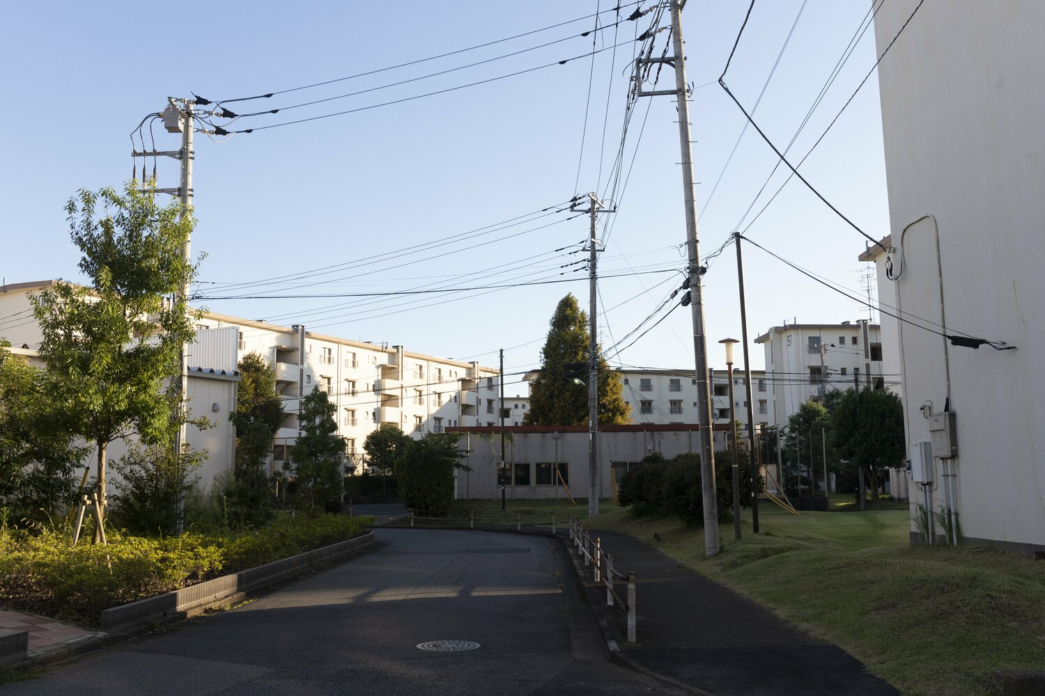 “マンモス団地”のようで、様々な年代の住棟が並んでいる