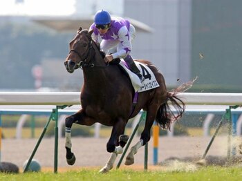 8馬身差の衝撃デビューに武豊は「追えば飛ぶかもしれない」…あの“消えた天才”サラブレッドが「ディープ級」の期待を背負いつづけた理由＜Number Web＞ photograph by Yuji Takahashi