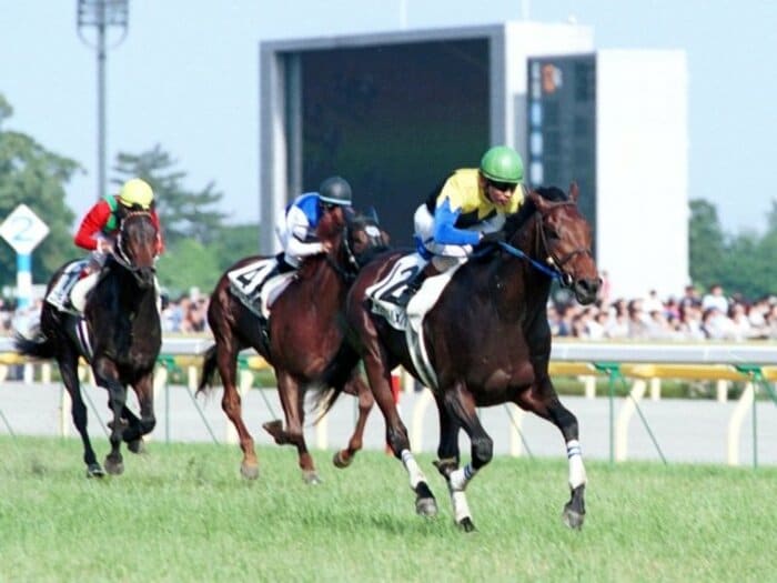 【ダービー】「何かやんなきゃまずいかなと」安藤勝己がキングカメハメハで初制覇したとき感じたこととは?<Number Web> photograph by Sankei Shimbun