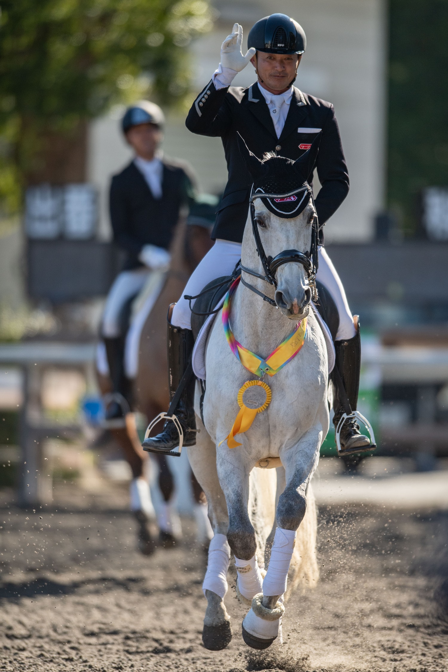 原田がリトレーニングを行い、引退競走馬杯ファイナルで3位に入賞したメイショウテンシャ（父ディープインパクト、母メイショウベルーガ）